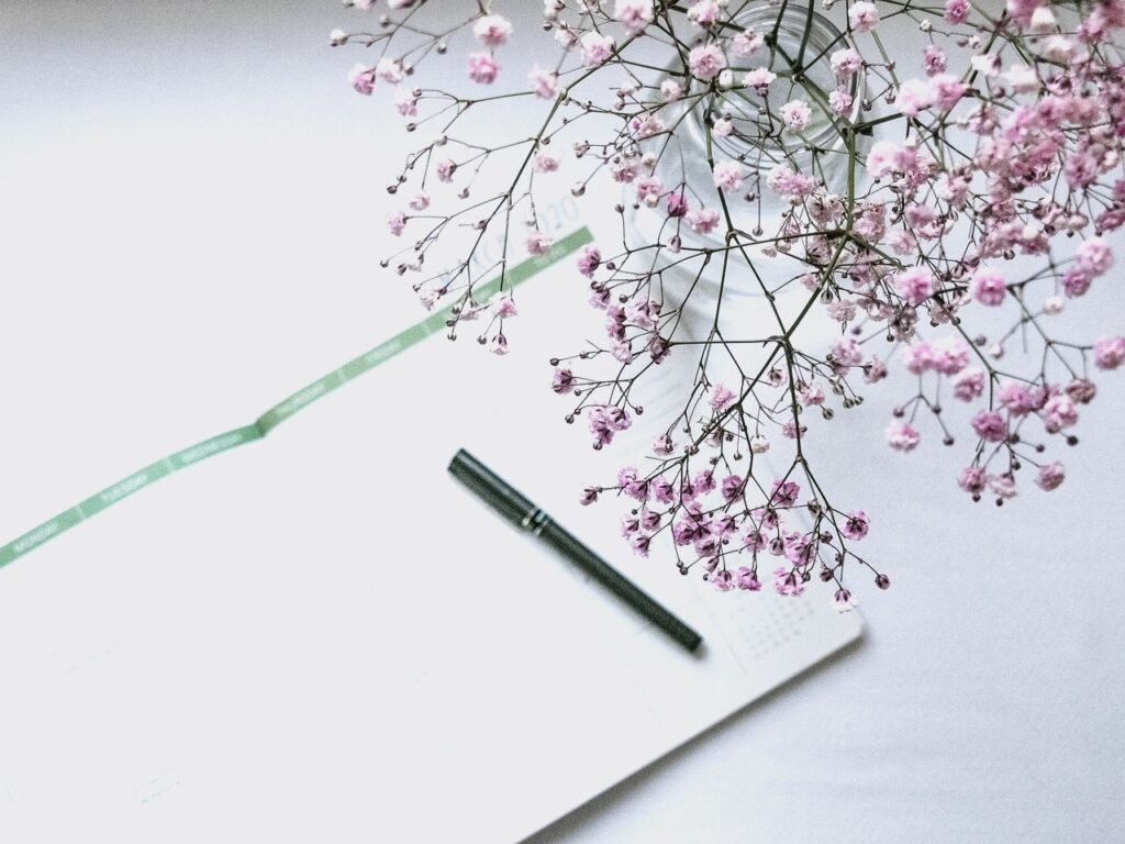 Cuisinière à domicile Carnet ouvert avec stylo et branche de gypsophile rose
